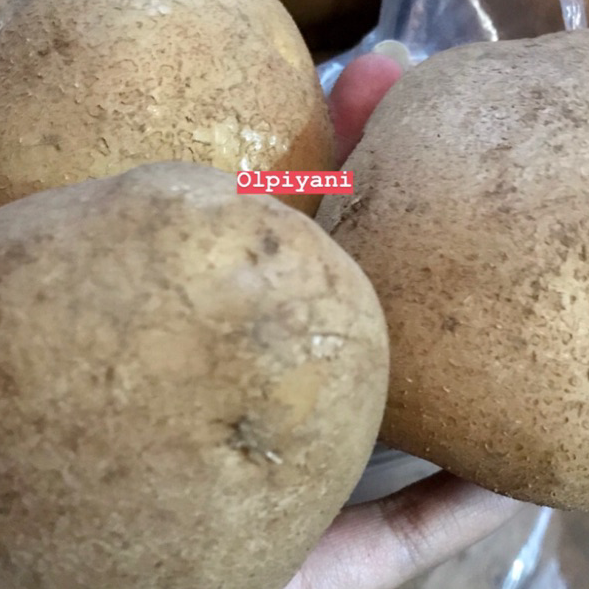 

JCVL3685 Kentang dieng 500gram