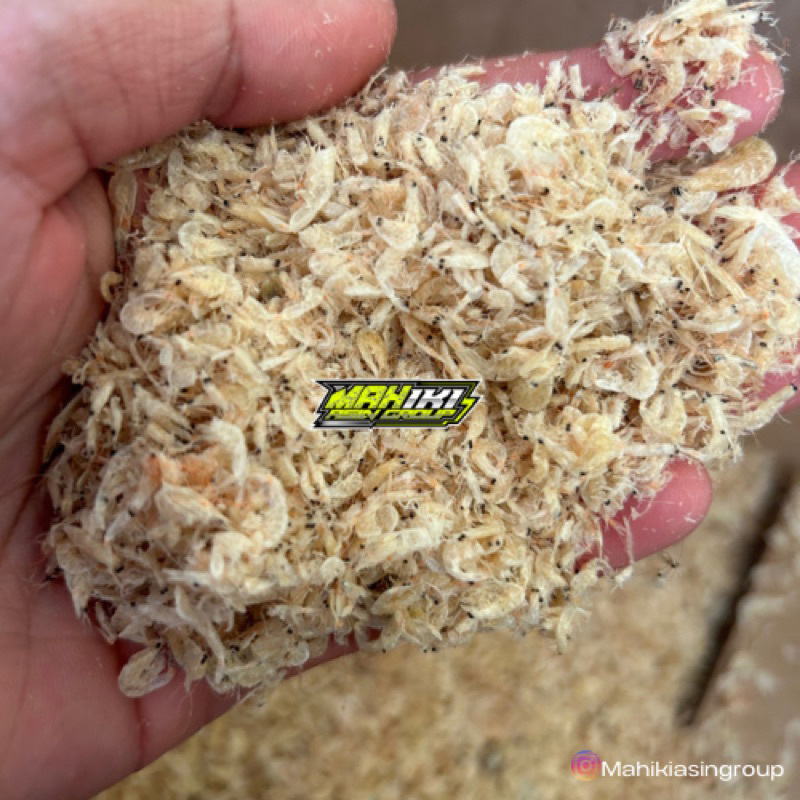 

Ikan Asin Rebon 500gr
