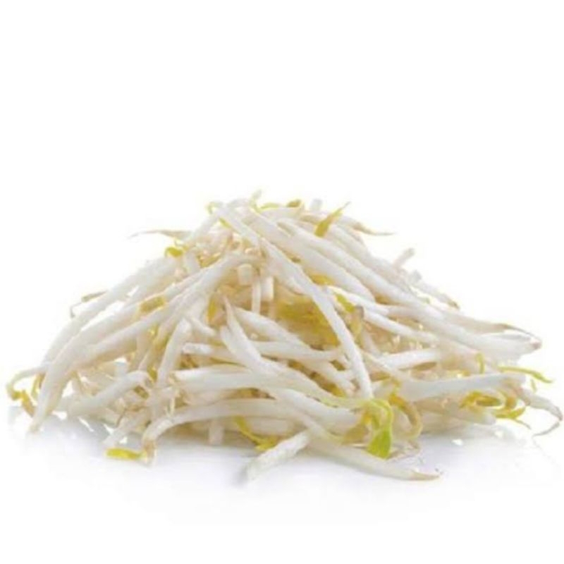 

TAUGE PANJANG Rp 4.000 - 13.000