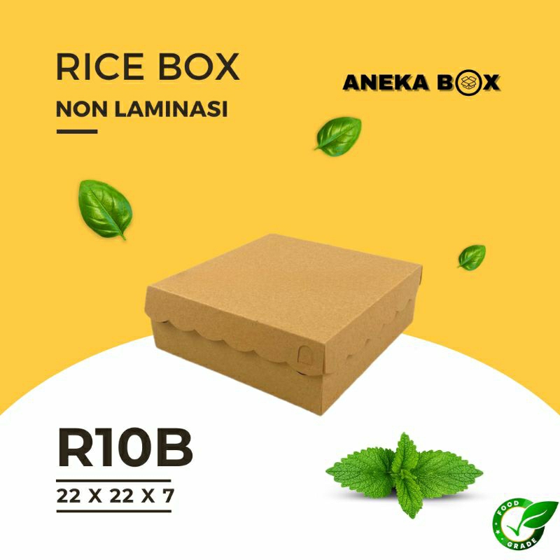 

ANEKA BOX - Dus Kue / Kotak Makan R10b 22cm x 22cm x 7cm Kraft Cokelat