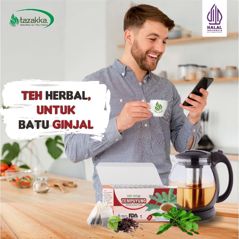 

Teh Herbal Tempuyung Original Tazakka mengobati BATU GINJAL Melancarkan Buang Air Kecil
