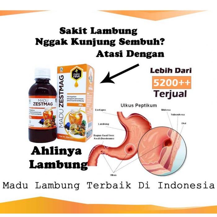 

Madu Zestmag Madu Fira Original Lambung dan Pencernaan