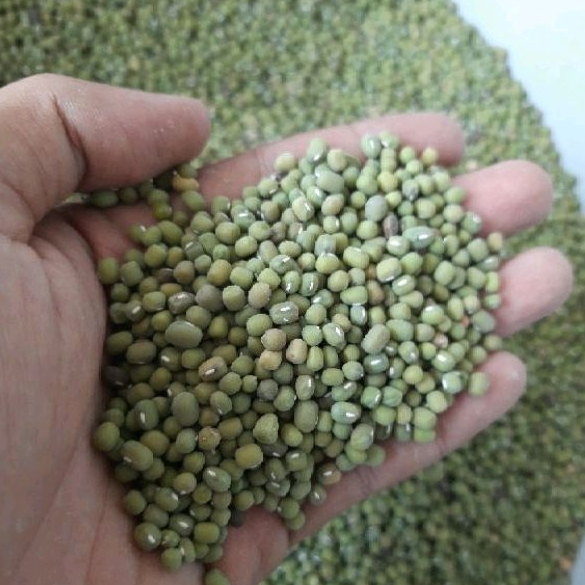 

Kacang Hijau Ijo Lokal 1kg