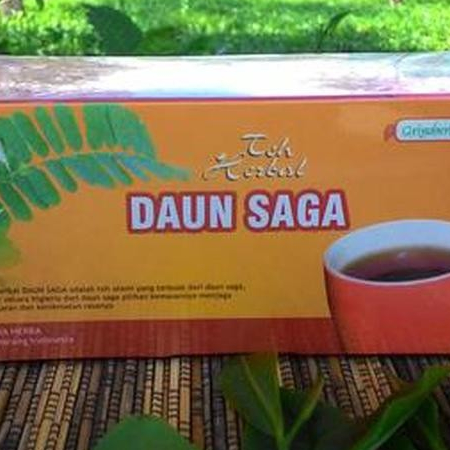 

TEH HERBAL DAUN SAGA ORIGINAL TERBAIK