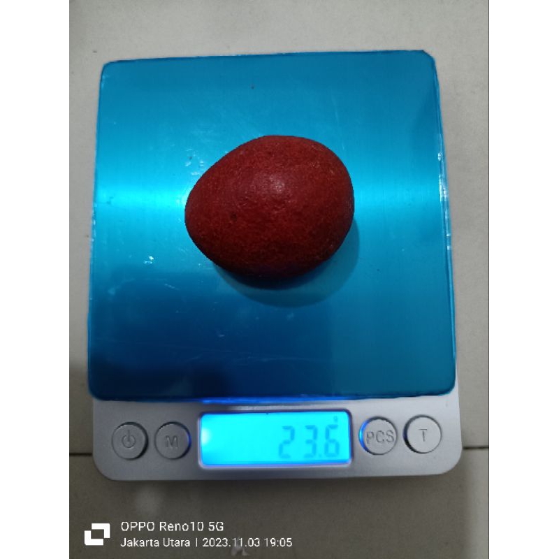 geliga batu landak merah alami