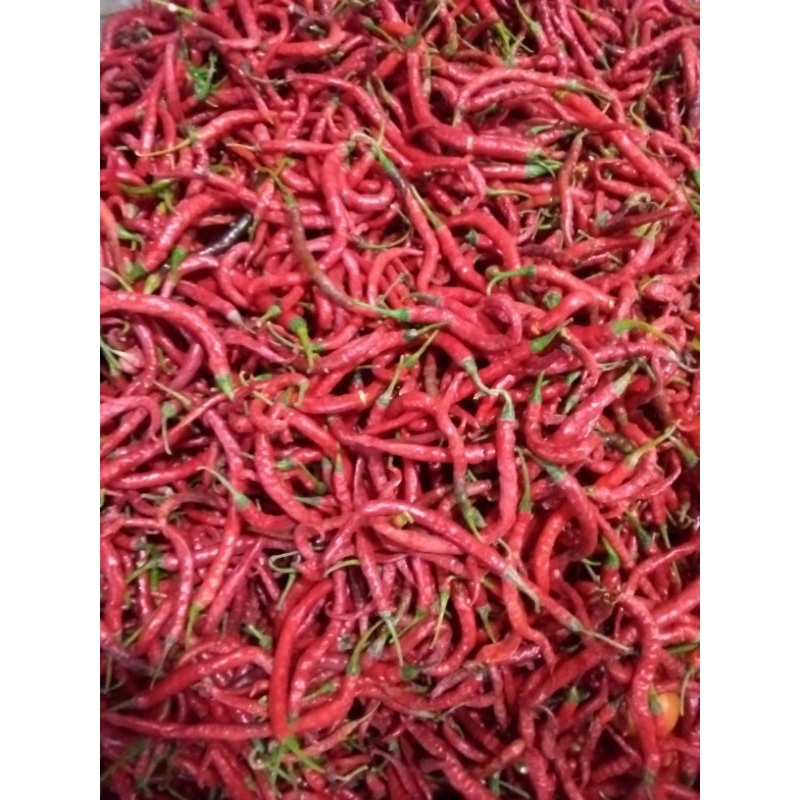 

cabai Keriting merah