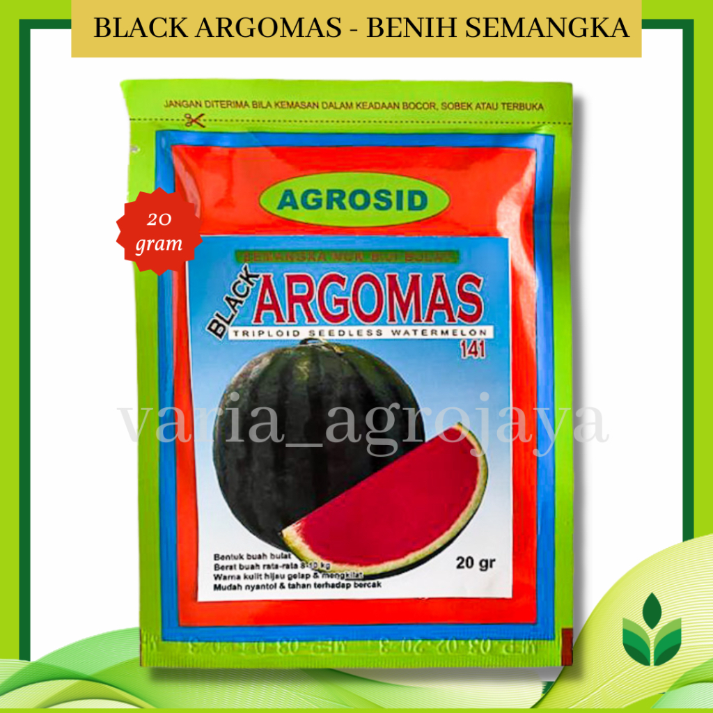 Benih Bibit Semangka Black Argomas - Agrosid