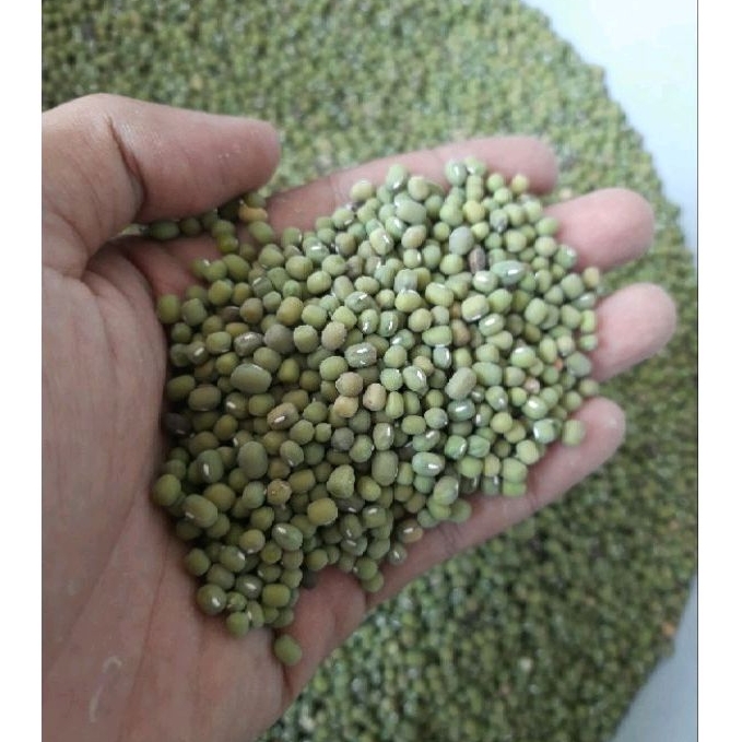 

Kacang Hijau Ijo Lokal isi 500 Gram