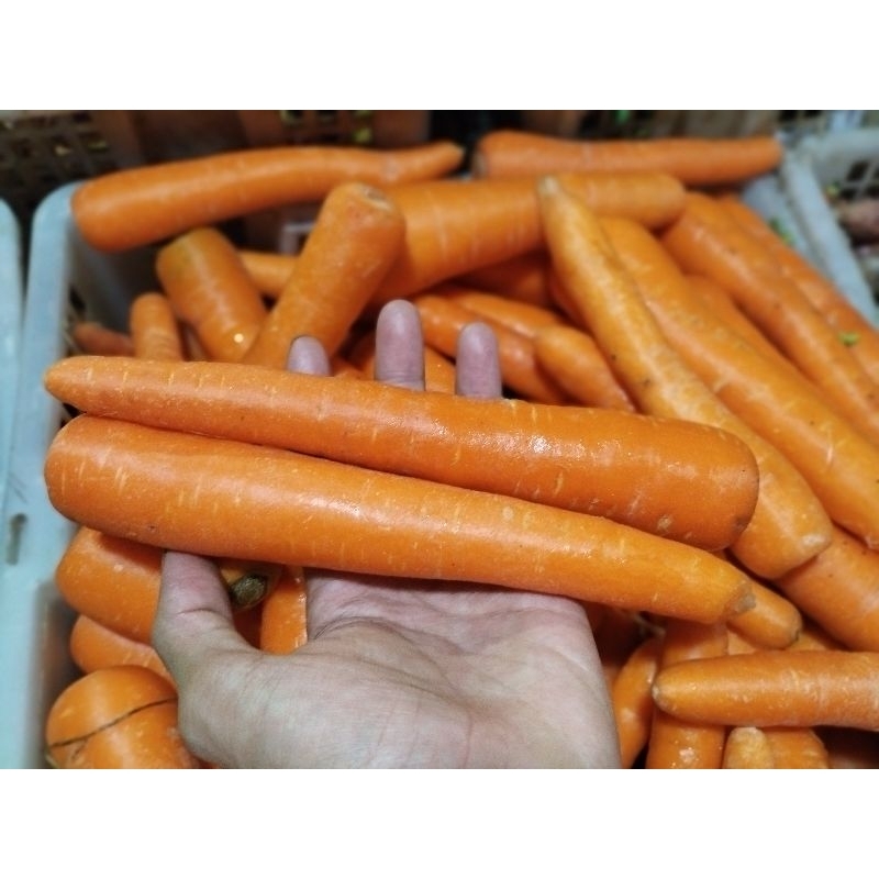 

Wortel Import Beras Tagih