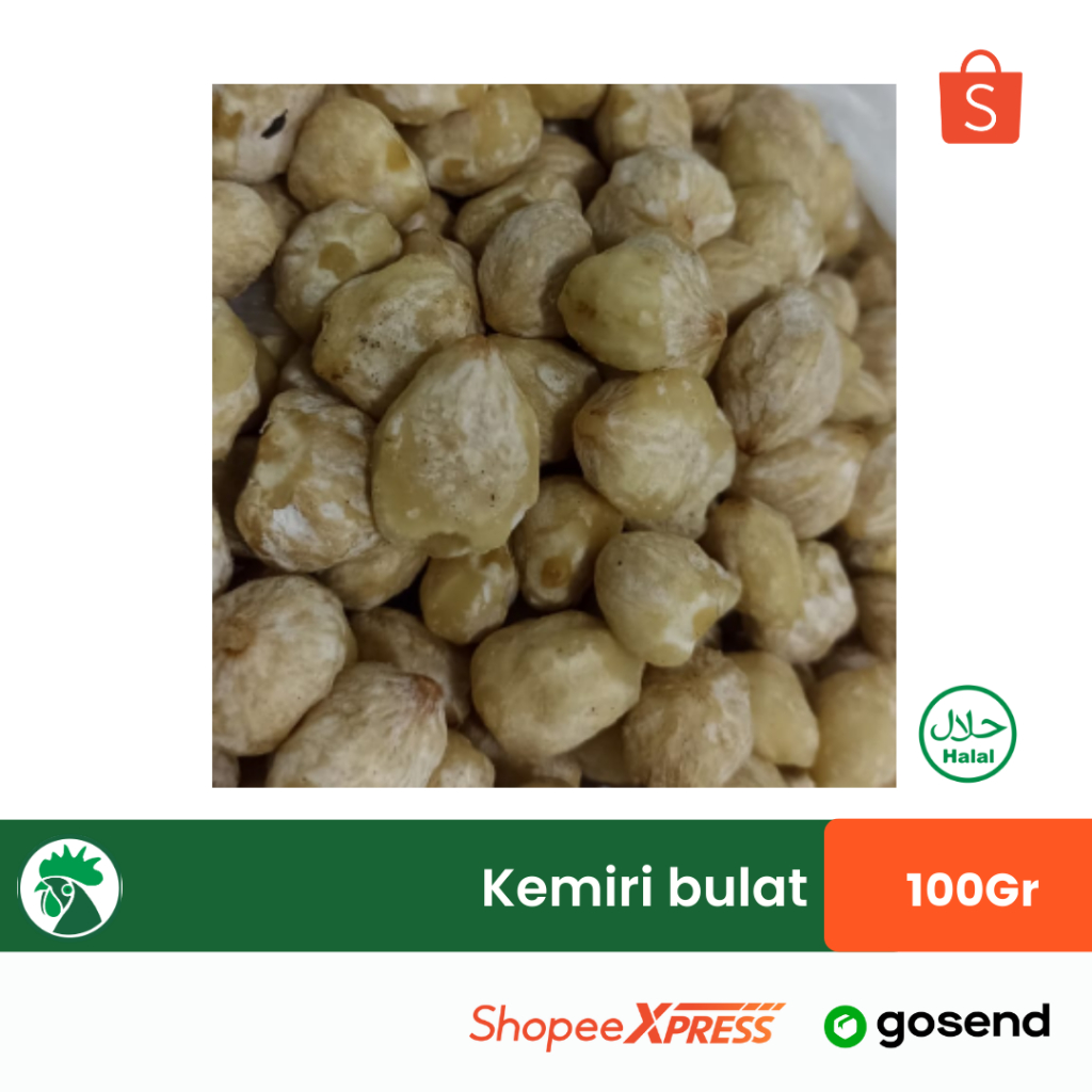 

Biji Kemiri Bulat Candle Nut | Rempah