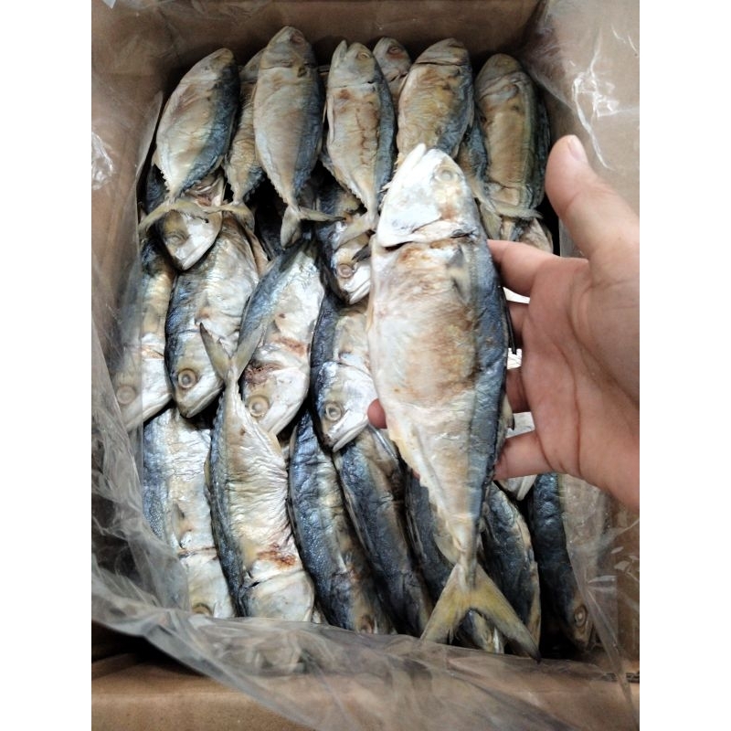 

Ikan asin Gembung/Peda 250 gram super