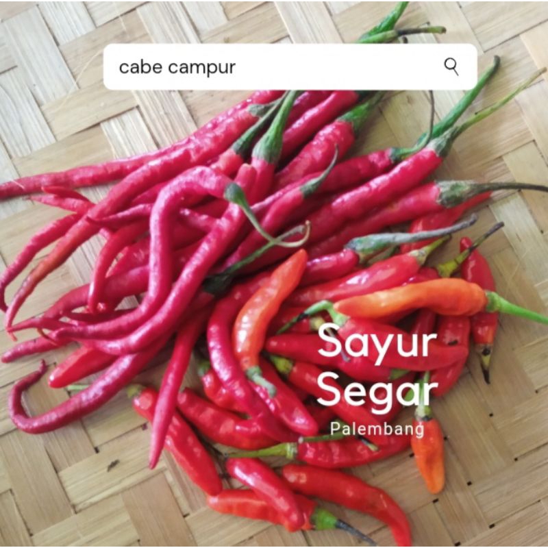 

Paket Cabe Merah Dan Burung 100 gr Sayur Segar Palembang