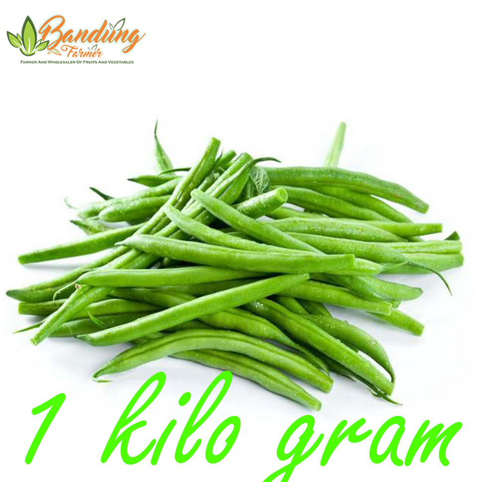 

TERBARU⚡ Buncis 1kg fresh dari petani dari kebun