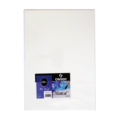 

Canson Montval Color A3 AQ Cold Pressed 220gsm 5 Sheets