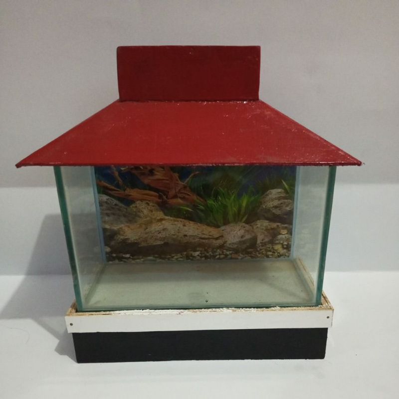 aquarium kaca meja dan tutup triplek