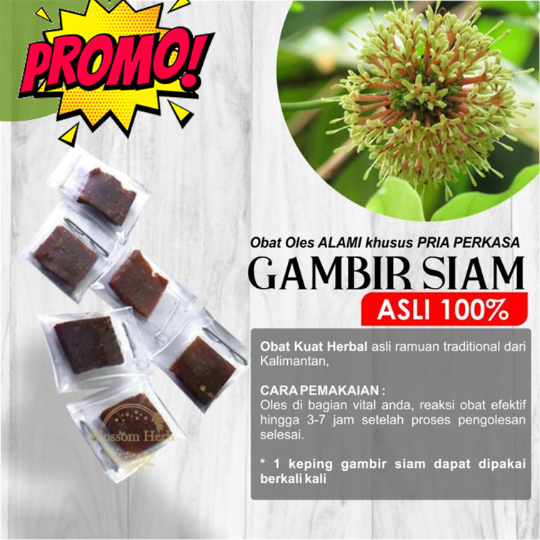 Obat Oles Pria Herbal Gambir Siam Serawak Malaysia Asli 100% Original [ GRADE A ]