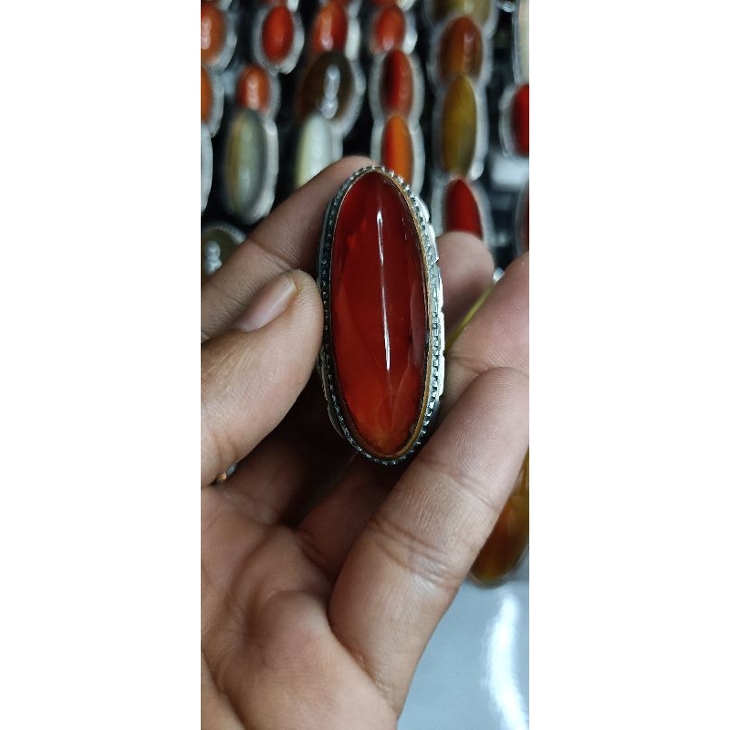 PANDAN MERAH SISIK BETOK