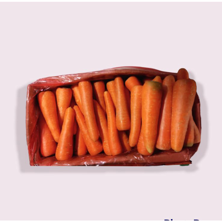 

➥❇❋ Wortel Impor/brastagi /500gram