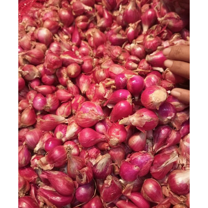 

Terupdate Bawang merah Brebes 500 gr