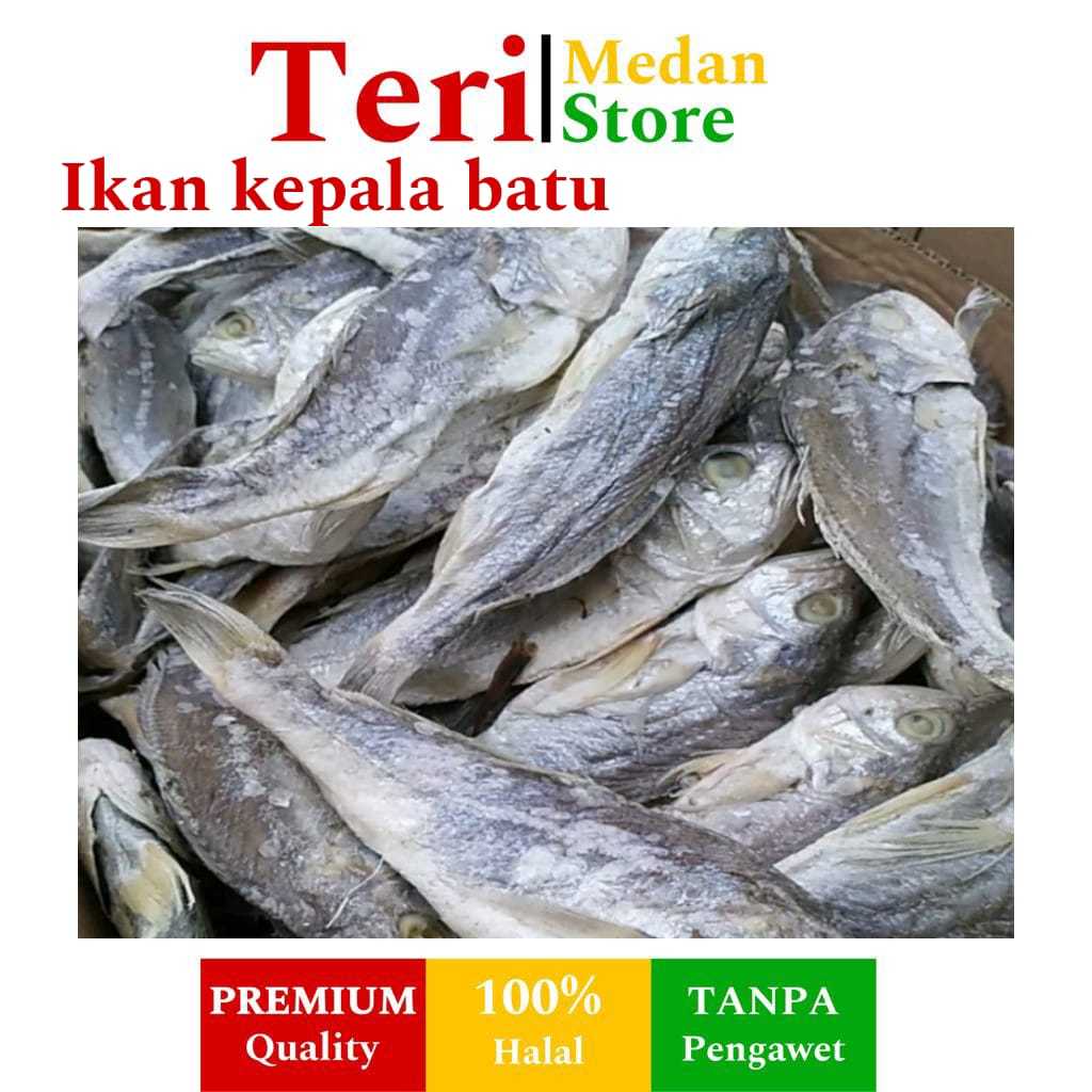 

Ikan asin kepala batu gulama samge kering kualitas super premium berat 1 kg