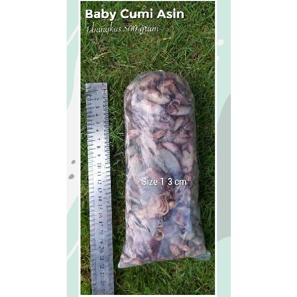 

Baby Cumi Asin Ukuran 1-3 cm berat 500 gram