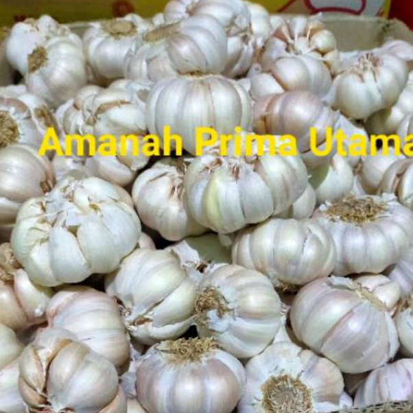 

Promo Bawang Putih Honan Bersih per 1 kg Ready
