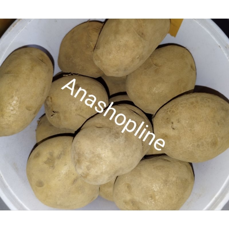 

Sayur kentang / potato / fresh ( tanya stok )
