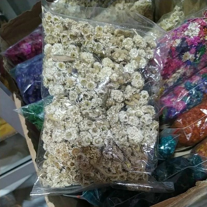 Bunga EDELWEIS Kering 10GR Bunga ABADI BAHAN BUKET Bunga Lawu Edelweis Bunga Kering Bunga Buket Bung
