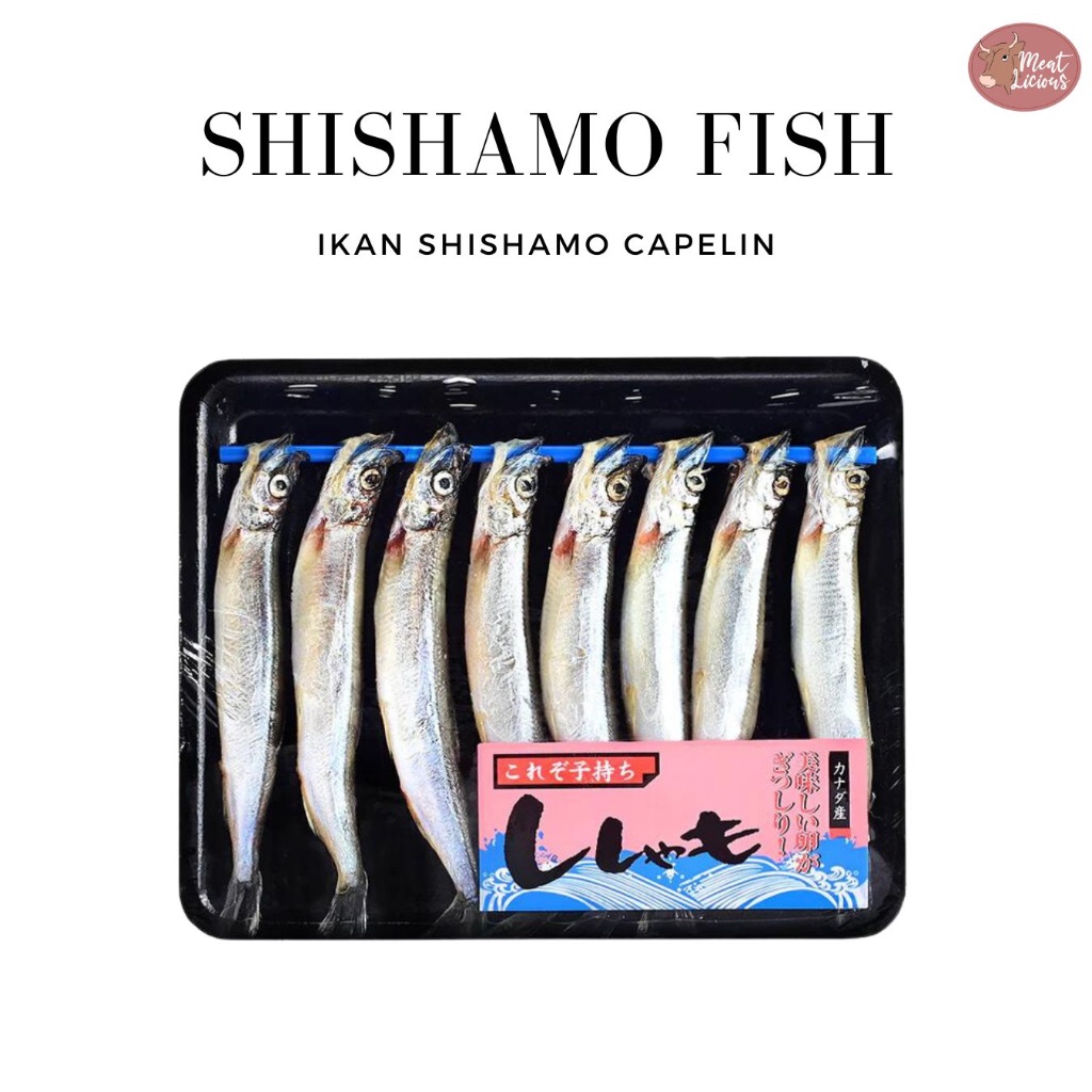 

Ikan Shishamo Capelin (Full Telur) 160-190gr Ikan Cipung / Shishamo Fish Telur (Female)