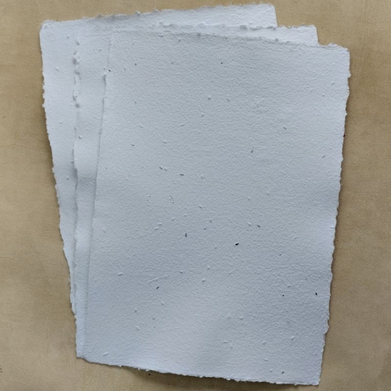 

Kertas Benih Selada A4 Putih – Kertas Multifungsi Daur Ulang