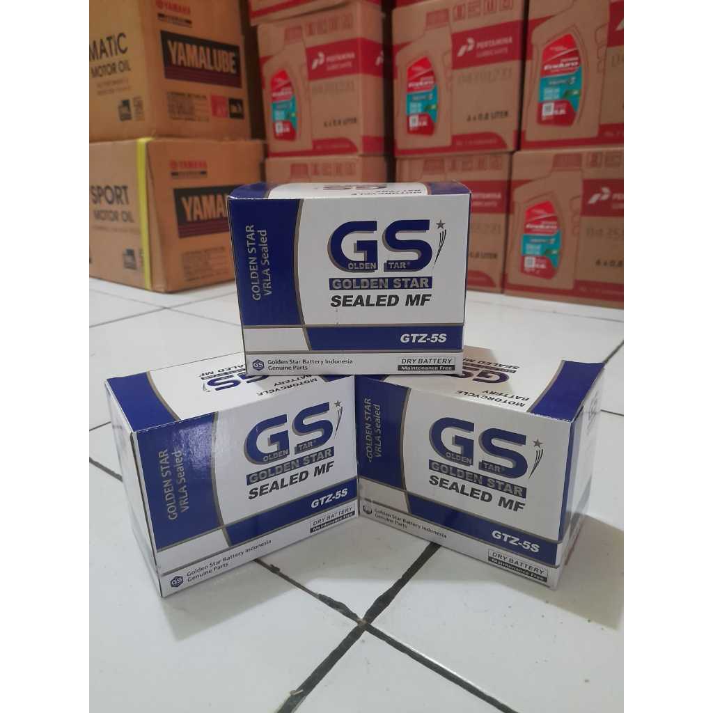 Aki Kering GS Golden Star GTZ-5S 12V