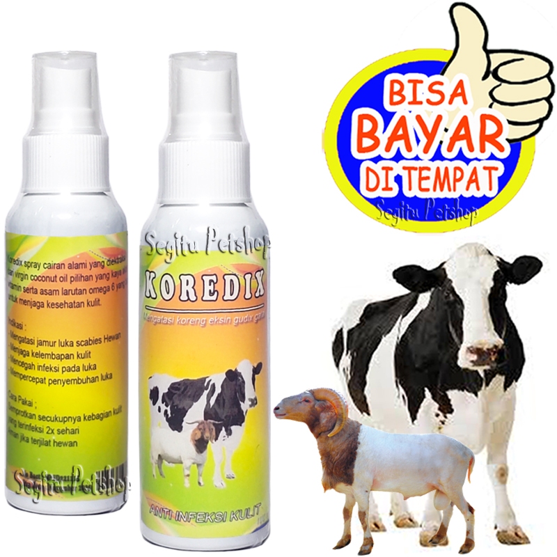 OBAT KORENG SCABIES JAMUR SAPI KAMBING HERBAL KOREDIX SPRAY