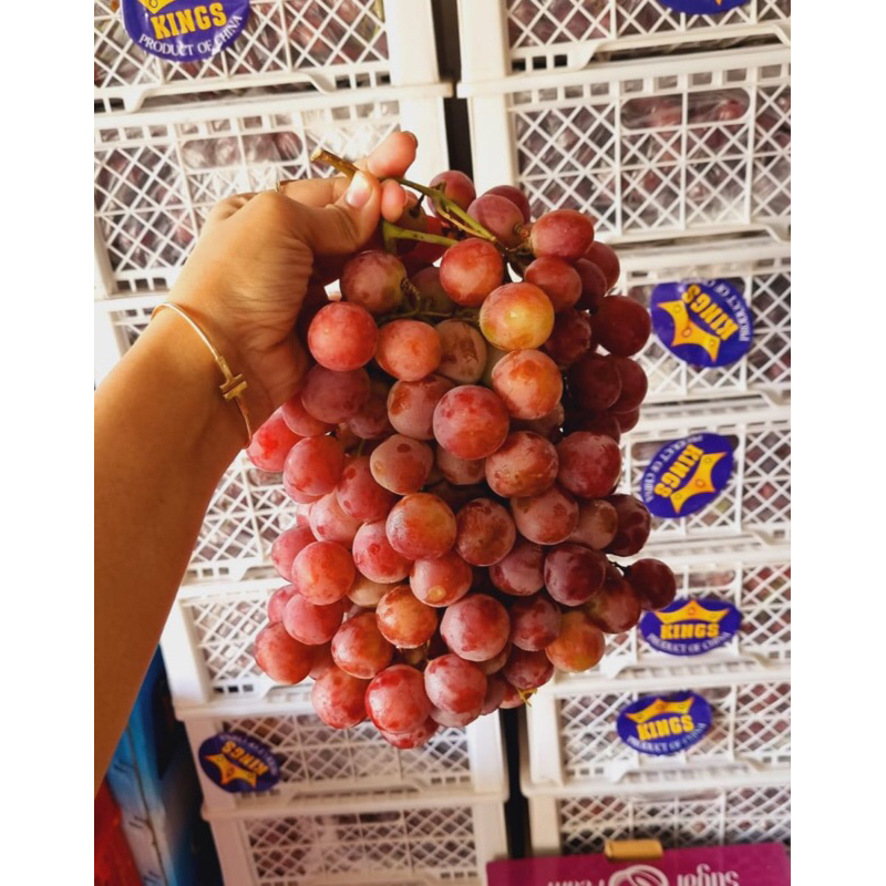 

Anggur RedGlobe Promo