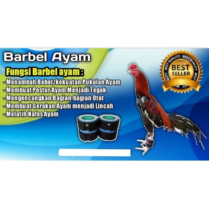 barbel ayam aduan. fitnes ayam barble