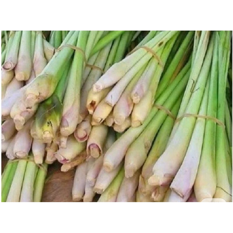 

Daun Sere Fresh 250 gram. Sayur Segar