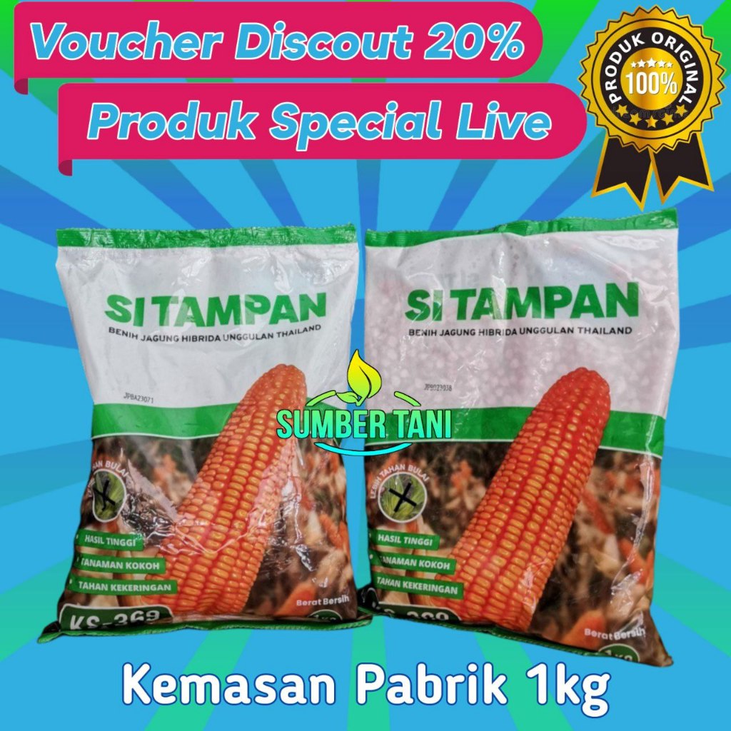 

Benih Jagung Hibrida KS 369 SITAMPAN 1kg | EXP: APRIL-2025