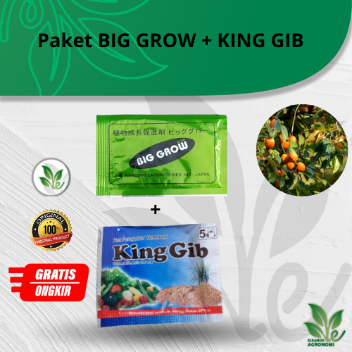 Paket BIG GROW BIGGROW dan KINGGIB KING GIB PEMBESAR BUAH NAGA