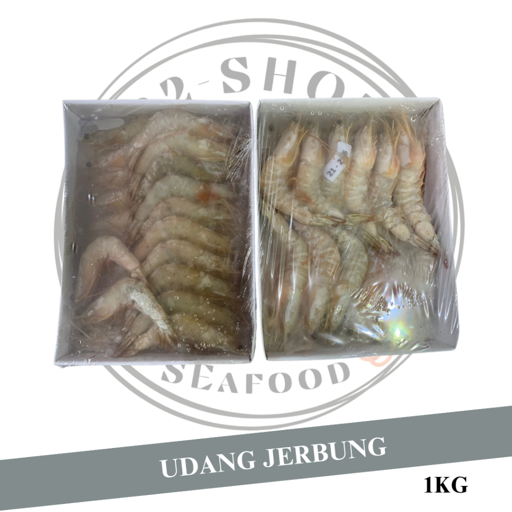 

Udang Jerbung Laut Fresh Segar Frozen / Udang Laut / 1 KG