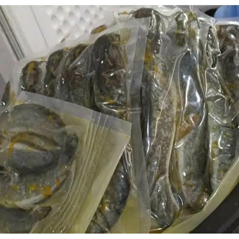 

frozen ikan lele