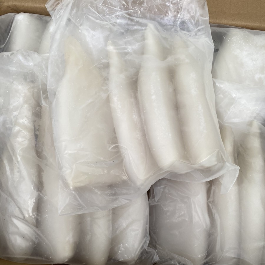 

Ay00! Cumi Tube Kupas Bersih Segar / Putih Isi 4 Kemasan 1 Kg