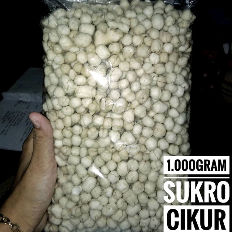 

✨11.11✨ Pilus Cikur 1kg | Sukro Cikur Sari Rasa Murah Halal Higienis