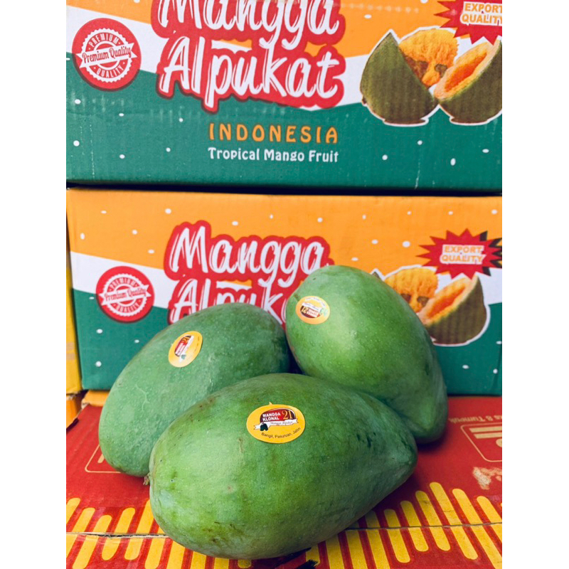 

Mangga Alpukat