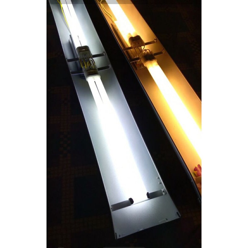 Lampu tanning arwana Pll