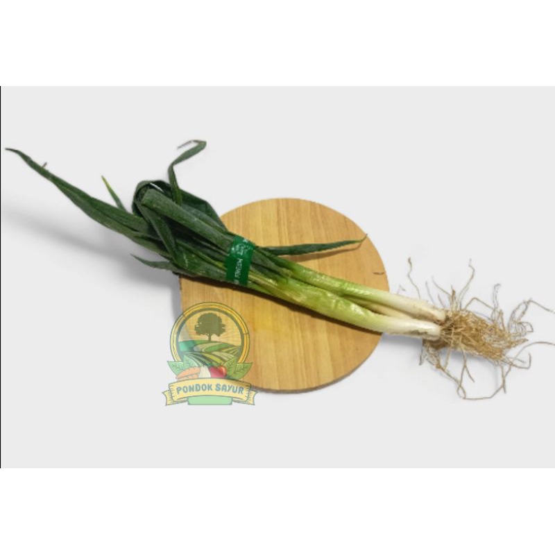 

Daun Bawang Segar 100/250/500Gr