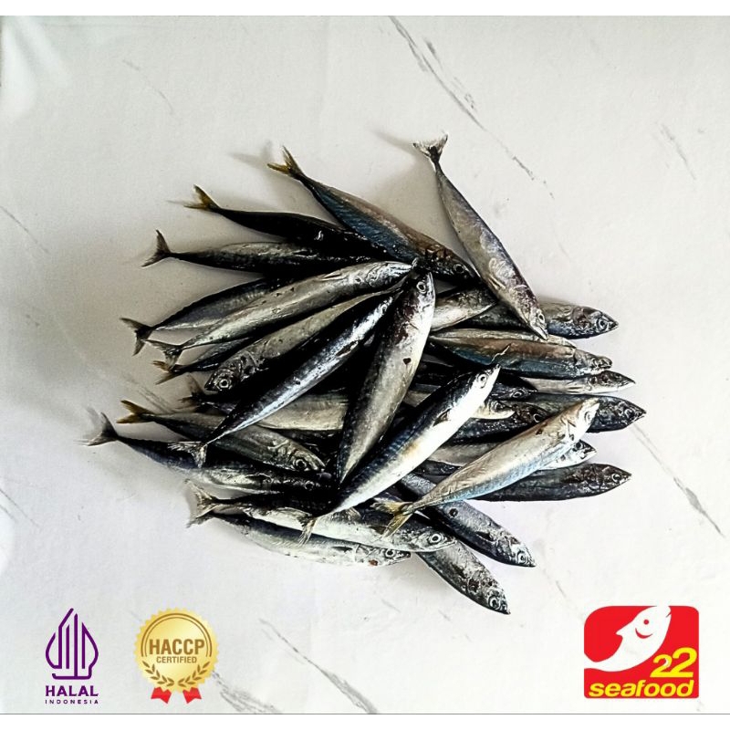 Ikan Tongkol Deho 1 kg 20-30 & 30-40 / Tongkol Kecil / Seafood 22