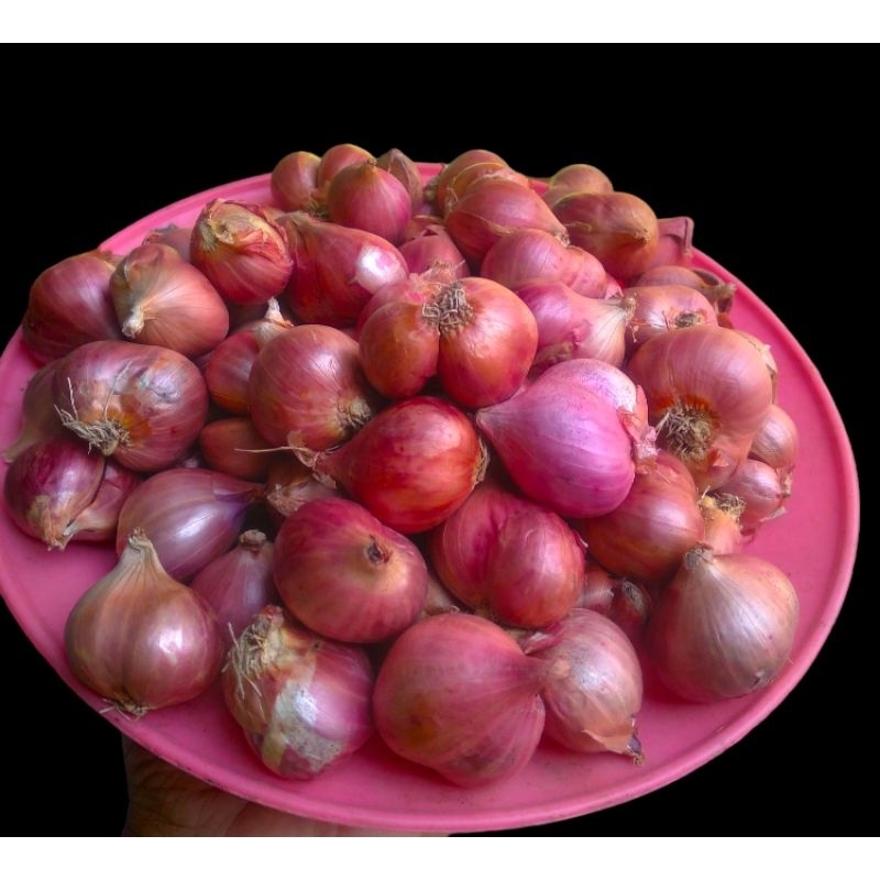 

Bawang Merah Nganjuk 1kg