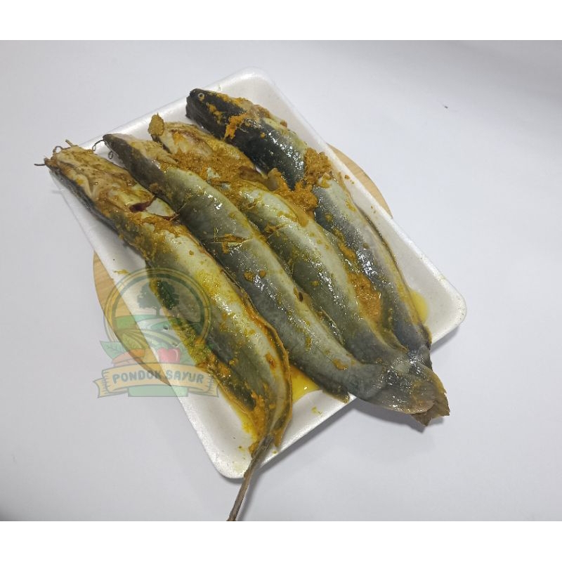 

Ikan Lele Bumbu Kuning isi 4