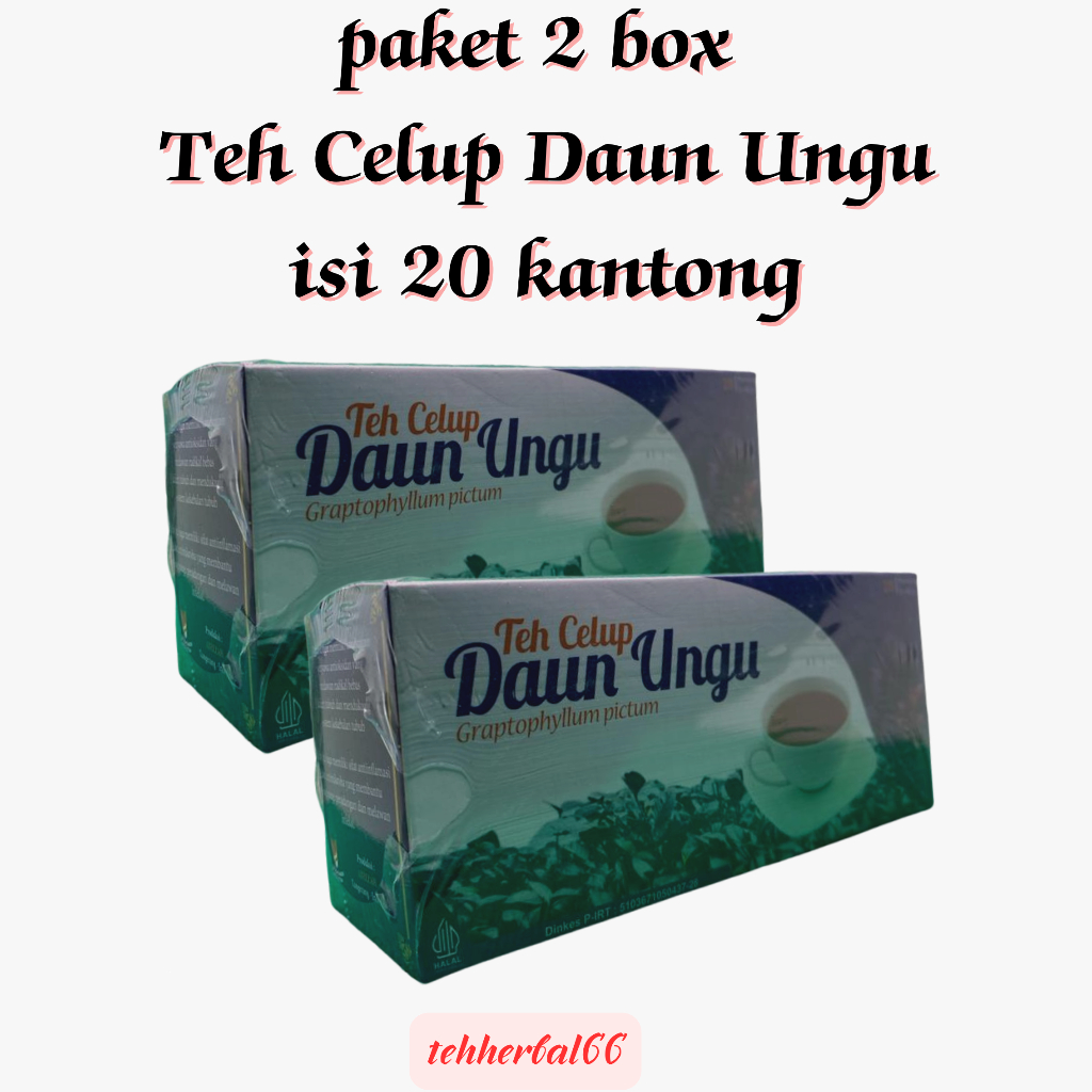 

2 BOX Teh Celup Daun Ungu 20 Kantong - Herbal Wasir dan Ambeien