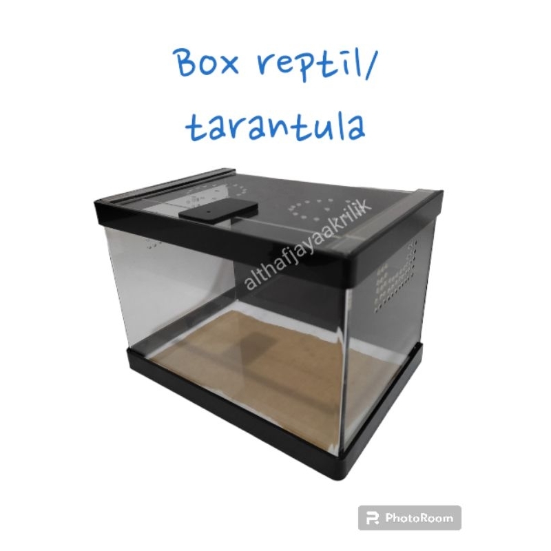kotak reptil / kandang reptil akrilik