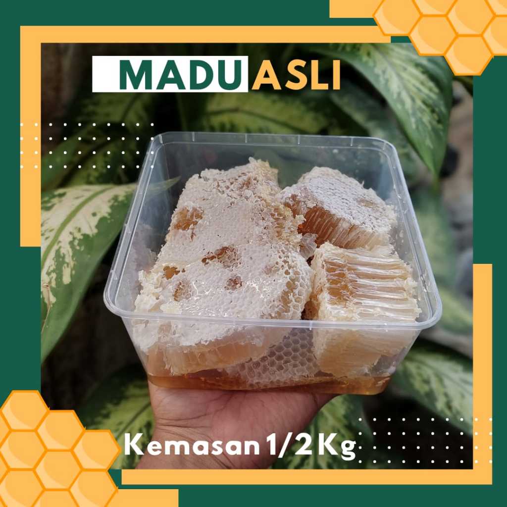 

Madu sarang | Sarang Madu | Honeycomb 500ml